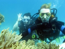undersea walking tour launched in cu lao cham